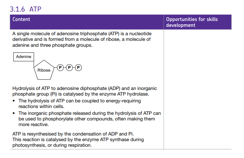 Specification reference