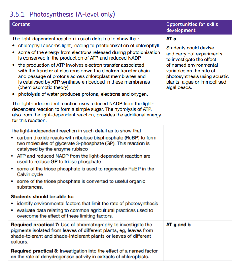 Specification reference