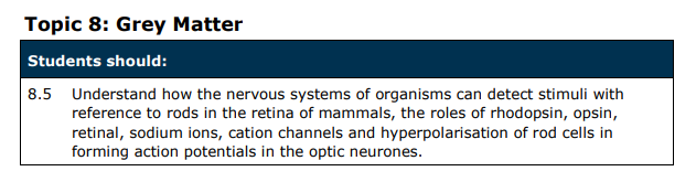 Specification reference