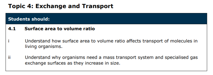 Specification reference