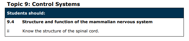 Specification reference