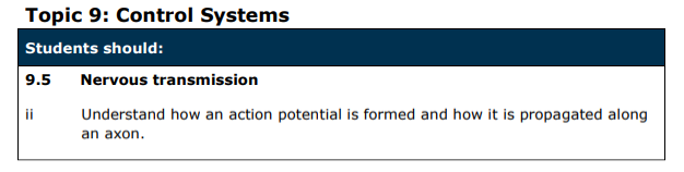 Specification reference