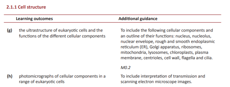 Specification reference
