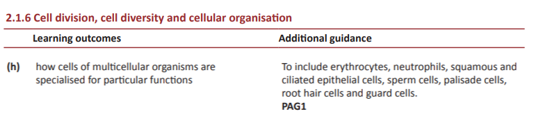 Specification reference