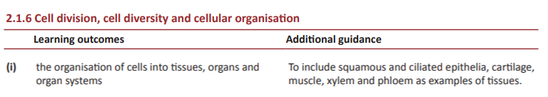 Specification reference