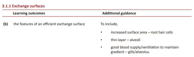 Specification reference