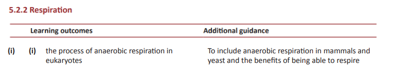 Specification reference