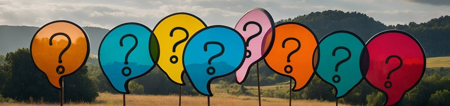 Your Common Study Questions Answered!