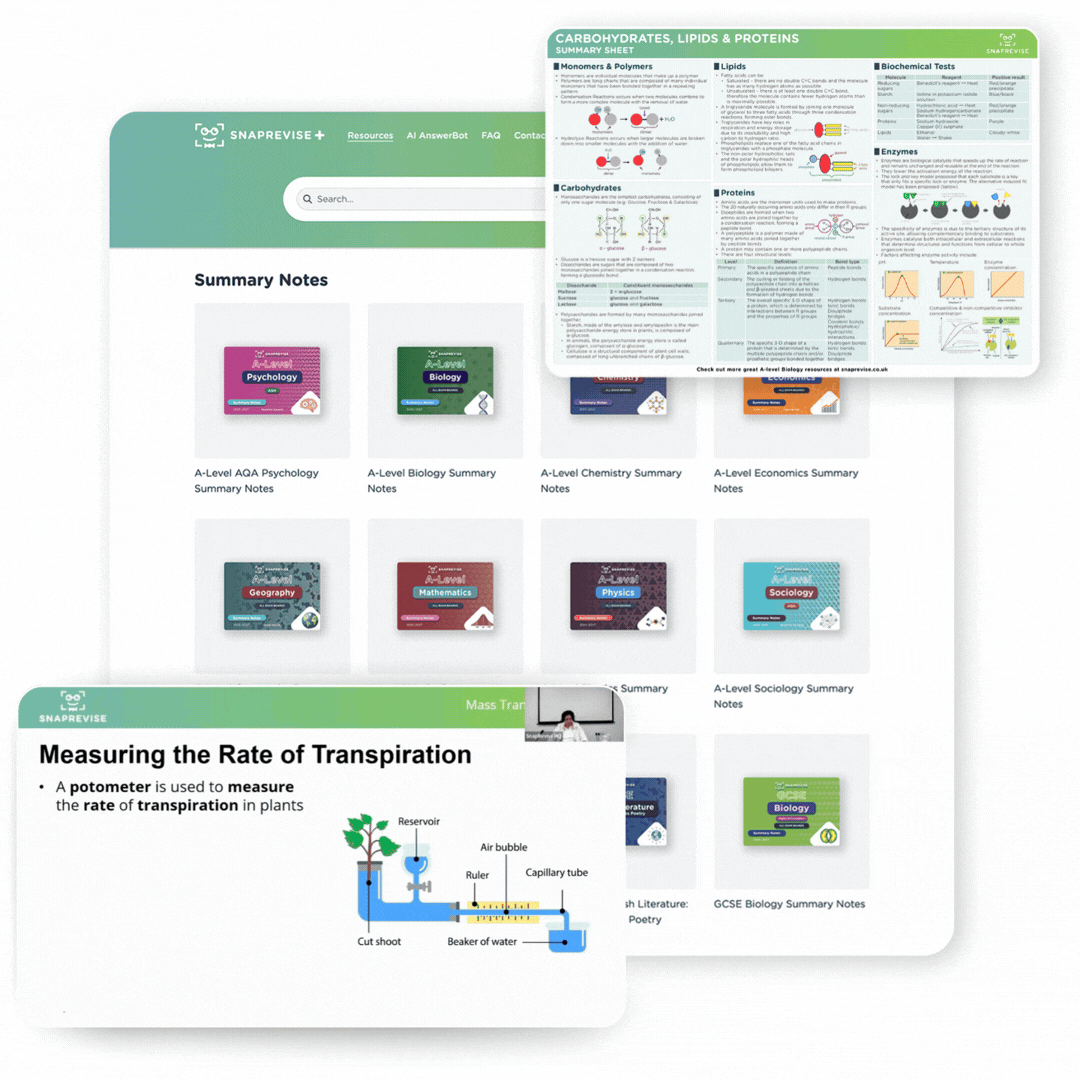 SnapRevise Resources