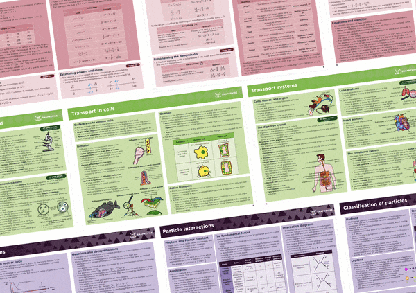 eBook Study Guides