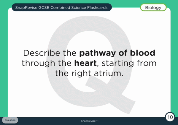 Flashcards
