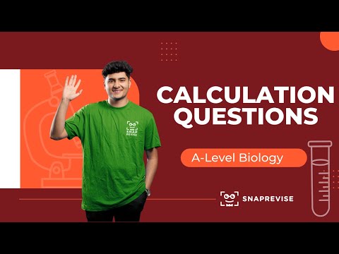 Calculation Questions