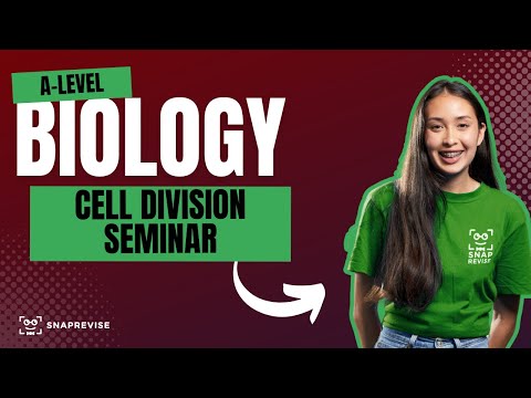 Cell Division Seminar