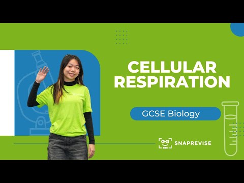 Cellular Respiration