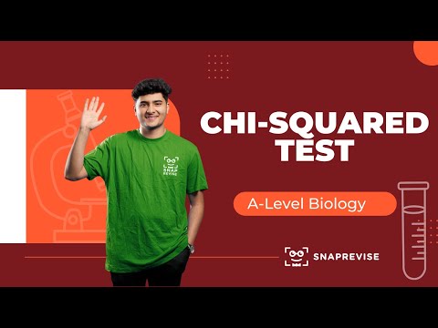 Chi-Squared Test