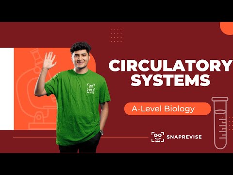 Circulatory Systems