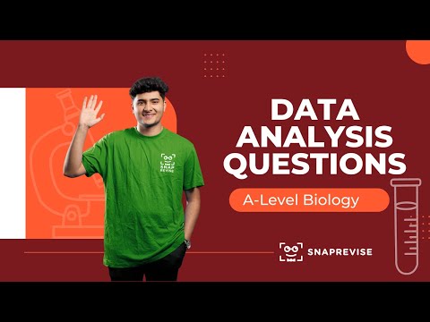 Data Analysis Questions