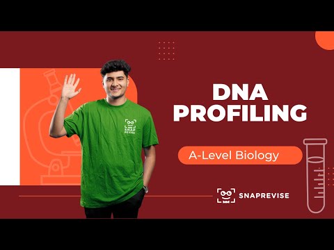 DNA Profiling