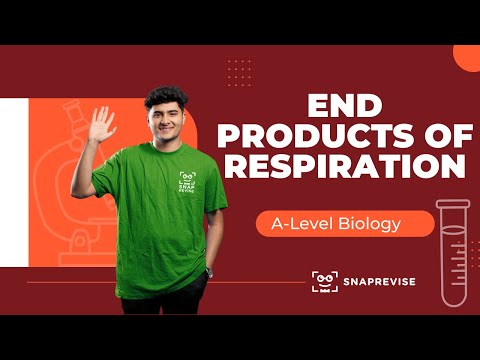 End Products of Respiration