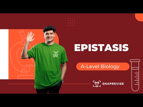 Epistasis