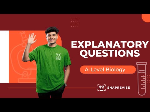 Explanatory Questions