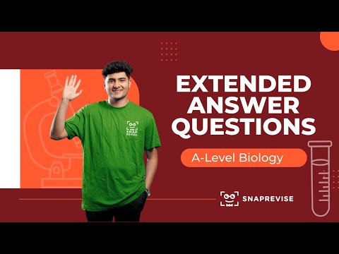 Extended Answer Questions