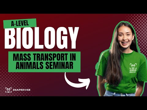Mass Transport in Animals Seminar