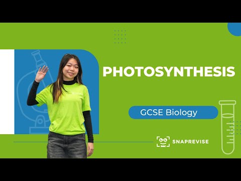 Photosynthesis