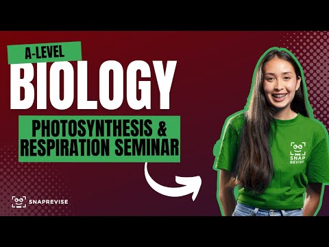 Photosynthesis & Respiration Seminar