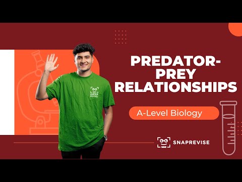 Predator-Prey Relationships & Competition