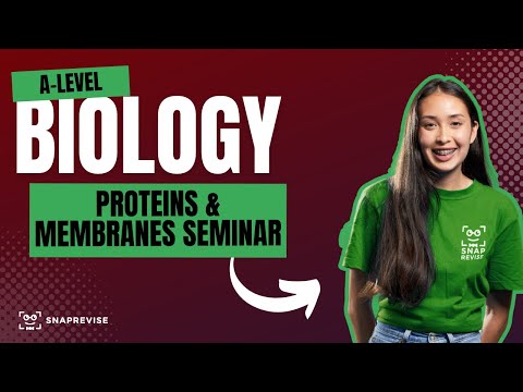 Proteins & Membranes Seminar