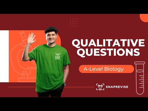 Qualitative Questions