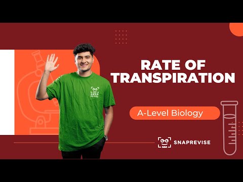 Rate of Transpiration