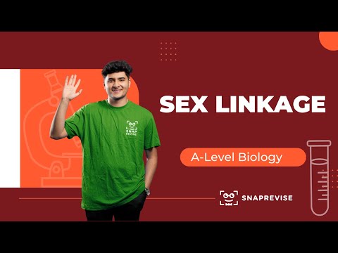 Sex Linkage