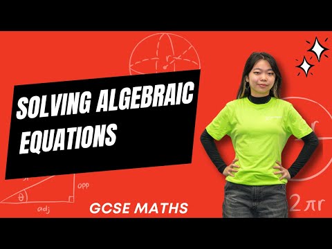 Solving Algebraic Equations