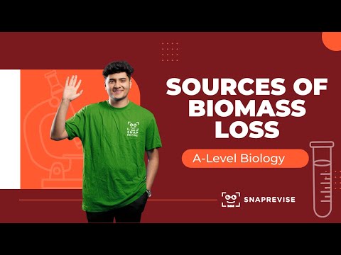 Sources of Biomass Loss