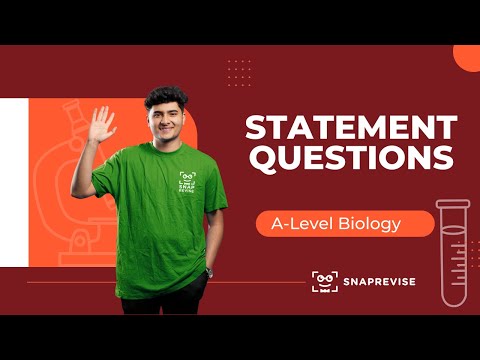 Statement Questions