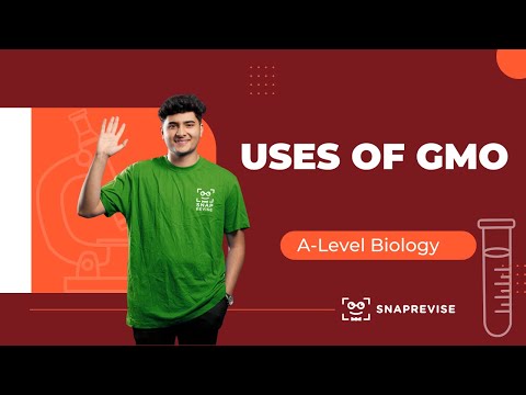 Uses of Genetically Modified Organisms